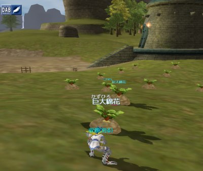 ファイル 63-3.jpg